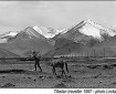 Tibetan_horseman